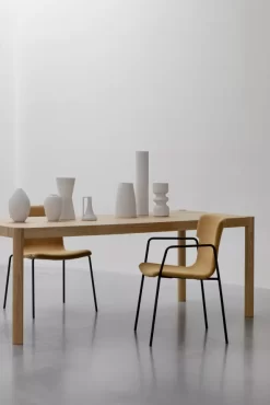 Banne Back-up Stoel Met Armleuning Zinc -Meubel Speciaal Winkel x886x886 banne back up stoel met armleuning3.jpg.pagespeed.ic .o7w OmT8Dj