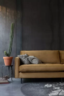 BePureHome Rodeo Velvet Classic Bank 2,5 Zits Taupe -Meubel Speciaal Winkel x886x886 bepurehome rodeo velvet classic bank 2 5 zits17.jpg.pagespeed.ic .ogzcU9 408