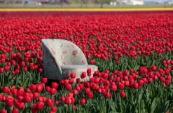 BePureHome Vogue Fauteuil Fluweel Donkergroen -Meubel Speciaal Winkel x886x886 bepurehome vogue fauteuil40.jpg.pagespeed.ic .Bq6mx0nCOK