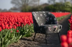 BePureHome Vogue Fauteuil Fluweel Donkergroen -Meubel Speciaal Winkel x886x886 bepurehome vogue fauteuil47.jpg.pagespeed.ic .VZclBJdBVa