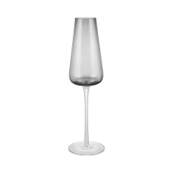 Blomus Belo Champagneglazen Set Van 2 Smoke