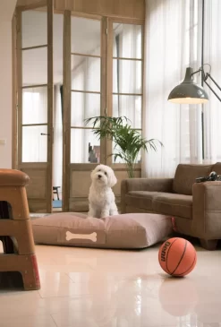 Fatboy Doggielounge Stonewashed Hondenkussen Small Rood -Meubel Speciaal Winkel x886x886 fatboy doggielounge hondenzitzak15.jpg.pagespeed.ic .HSCnCvjC7F 1