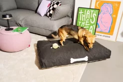 Fatboy Doggielounge Olefin Hondenkussen Large Rock Grey 14 Fatboy Doggielounge Olefin Hondenkussen Large Rock Grey -Meubel Speciaal Winkel x886x886 fatboy doggielounge olefin hondenkussen large.jpg.pagespeed.ic .AVbvyRuJKk