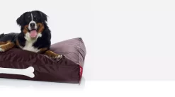 Fatboy Doggielounge Stonewashed Hondenkussen Small Blauw -Meubel Speciaal Winkel x886x886 fatboy doggielounge stonewashed hondenzitzak2.jpg.pagespeed.ic .jUvDqaLm B 2