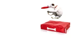 Fatboy Doggielounge Stonewashed Hondenkussen Small Rood -Meubel Speciaal Winkel x886x886 fatboy doggielounge stonewashed hondenzitzak4.jpg.pagespeed.ic .3NE9907kU4 1