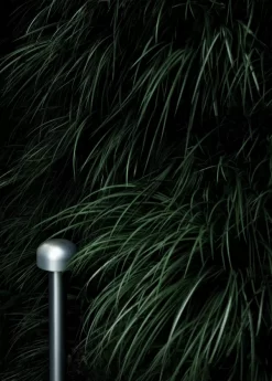 Flos Bellhop Sokkellamp LED Hoog Donkerbruin 15 Flos Bellhop Sokkellamp LED Hoog Donkerbruin -Meubel Speciaal Winkel x886x886 flos bellhop sokkellamp led hoog.jpg.pagespeed.ic .cCbv53up24