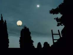 Flos IC Lights F1 Outdoor Vloerlamp Donkerbruin, Voet Beige 25 Flos IC Lights F1 Outdoor Vloerlamp Donkerbruin, Voet Beige -Meubel Speciaal Winkel x886x886 flos ic f1 outdoor vloerlamp19.jpg.pagespeed.ic .HM8TP2w 8a