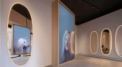 Flos La Plus Belle Spiegel Met LED Verlichting Aluminium Ovaal -Meubel Speciaal Winkel x886x886 flos la plus belle spiegel met led verlichting9.jpg.pagespeed.ic .q1x2 PYlnE