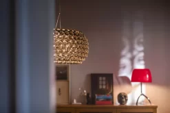 Foscarini Caboche Plus Grande Hanglamp Ø70 LED Dimbaar Grijs -Meubel Speciaal Winkel x886x886 foscarini caboche grande hanglamp led6.jpg.pagespeed.ic .jUzi3AUqkM