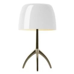 Foscarini Lumiere Piccola Tafellamp Dimbaar Champagne, Kers -Meubel Speciaal Winkel x886x886 foscarini lumiere piccola tafellamp champagne onderstel dimbaar8.jpg.pagespeed.ic .HA5 z3vppn