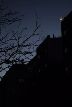 Foscarini Twiggy Grid Outdoor Booglamp LED Greige -Meubel Speciaal Winkel x886x886 foscarini twiggy grid vloerlamp outdoor led8.jpg.pagespeed.ic .466Ls oFUO