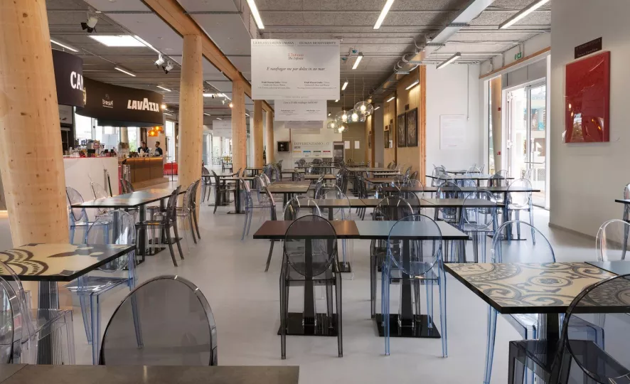 Kartell Victoria Ghost Stoel Chair Ondoorzichtig Wit 9 Kartell Victoria Ghost Stoel Chair Ondoorzichtig Wit - Afbeelding 7