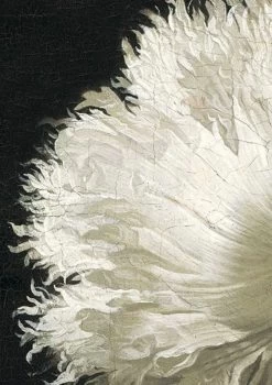 KEK Amsterdam Golden Age Flowers I Behang (8 Banen) 11 KEK Amsterdam Golden Age Flowers I Behang (8 Banen) -Meubel Speciaal Winkel x886x886 kek amsterdam golden age flowers i behang.jpg.pagespeed.ic .n4Lz56pljY