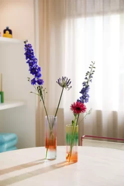 & Klevering &klevering Gradient Vaas Large -Meubel Speciaal Winkel x886x886 klevering gradient vaas large2.jpg.pagespeed.ic .r UfIpQxXC