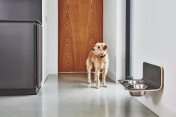 MiaCara Arco Hondenvoerbak Wand Medium/large Wit 12 MiaCara Arco Hondenvoerbak Wand Medium/large Wit -Meubel Speciaal Winkel x886x886 miacara arco hondenvoerbak wand4.jpg.pagespeed.ic .9DwEL37U2