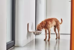 MiaCara Arco Hondenvoerbak Wand Small/medium Grijs -Meubel Speciaal Winkel x886x886 miacara arco hondenvoerbak wand7.jpg.pagespeed.ic .jXKAlx6rHo 1