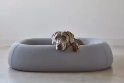 MiaCara Barca Hondenmand Small/medium Slate -Meubel Speciaal Winkel x886x886 miacara barca hondenmand medium large6.jpg.pagespeed.ic .4p zq FMM2 1