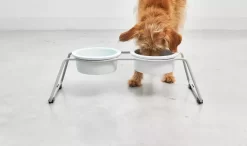 MiaCara Cena Hondenvoerbak Porselein Medium -Meubel Speciaal Winkel x886x886 miacara cena hondenvoerbak porselein medium1.jpg.pagespeed.ic .olZUFGjpni 1