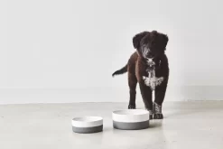 MiaCara Coppa Hondenvoerbak Medium/large Ø21.5 Slate -Meubel Speciaal Winkel x886x886 miacara coppa hondenvoerbak medium large.jpg.pagespeed.ic .ga3wGkeSBU