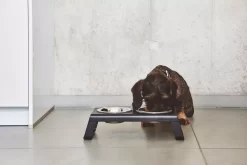 MiaCara Desco Hondenvoerbak Large Aluminium Wit -Meubel Speciaal Winkel x886x886 miacara desco hondenvoerbak medium22.jpg.pagespeed.ic .fb36z3ar8a 4