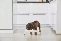 MiaCara Desco Hondenvoerbak Large Aluminium Wit -Meubel Speciaal Winkel x886x886 miacara desco hondenvoerbak medium24.jpg.pagespeed.ic .aUY84Z4sB 4