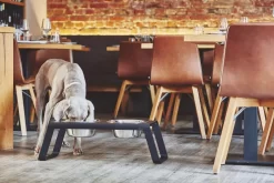 MiaCara Desco Hondenvoerbak Medium Essen Naturel -Meubel Speciaal Winkel x886x886 miacara desco hondenvoerbak medium25.jpg.pagespeed.ic .j3pooza1mJ 3