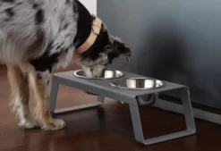 MiaCara Desco Hondenvoerbak Medium Essen Zwart -Meubel Speciaal Winkel x886x886 miacara desco hondenvoerbak medium30.jpg.pagespeed.ic .hO8vdqdI84