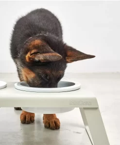 MiaCara Desco Hondenvoerbak Porselein Large Zwart -Meubel Speciaal Winkel x886x886 miacara desco hondenvoerbak porselein small10.jpg.pagespeed.ic .AMcJWS1AjF 1