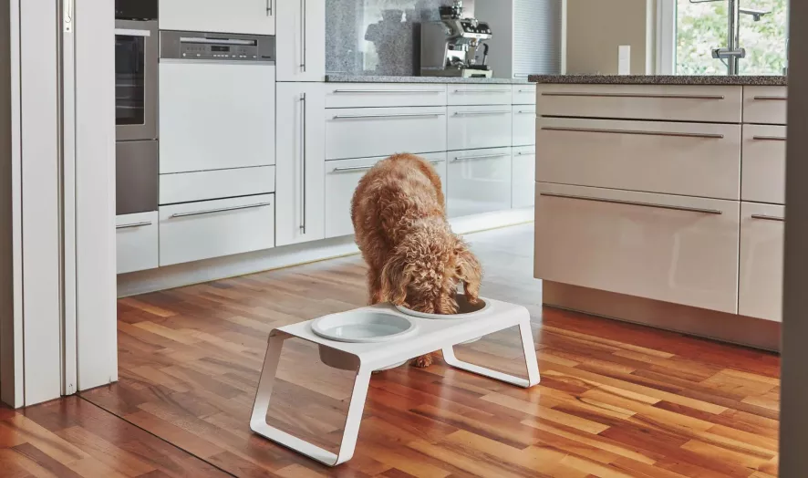 MiaCara Desco Hondenvoerbak Porselein Small Essen Grijs 9 MiaCara Desco Hondenvoerbak Porselein Small Essen Grijs - Afbeelding 7