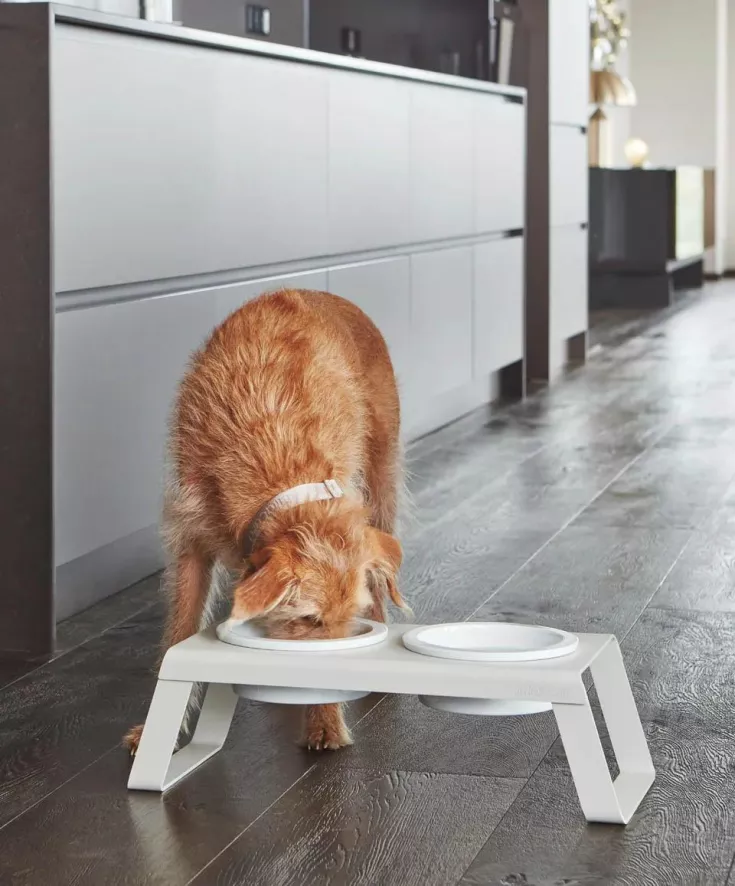 MiaCara Desco Hondenvoerbak Porselein Small Essen Grijs 10 MiaCara Desco Hondenvoerbak Porselein Small Essen Grijs - Afbeelding 8