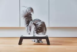 MiaCara Desco Kattenvoerbak Porselein Essen Naturel -Meubel Speciaal Winkel x886x886 miacara desco kattenvoerbak porselein9.jpg.pagespeed.ic .HZkilIVJP9