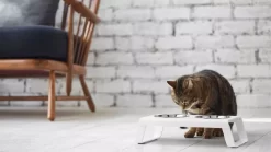 MiaCara Desco Kattenvoerbak Aluminium Grijs -Meubel Speciaal Winkel x886x886 miacara desco kattenvoerbak9.jpg.pagespeed.ic .tZF2BrtfAD