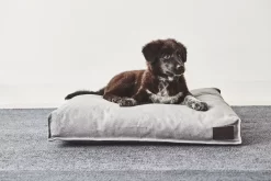 MiaCara Divo Hondenkussen Medium Pebble -Meubel Speciaal Winkel x886x886 miacara divo hondenkussen small.jpg.pagespeed.ic .VE 6keVMre 1