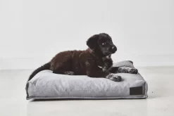 MiaCara Divo Hondenkussen Medium Slate -Meubel Speciaal Winkel x886x886 miacara divo hondenkussen small2.jpg.pagespeed.ic .S5alnara7G