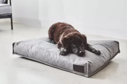 MiaCara Divo Hondenkussen Medium Slate -Meubel Speciaal Winkel x886x886 miacara divo hondenkussen small3.jpg.pagespeed.ic .h9QXAPk FZ