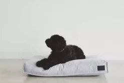 MiaCara Divo Hondenkussen Medium Slate -Meubel Speciaal Winkel x886x886 miacara divo hondenkussen small5.jpg.pagespeed.ic .sUtZW6R9mS