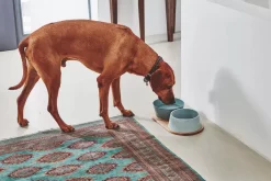 MiaCara Doppio Hondenvoerbak Small Beton -Meubel Speciaal Winkel x886x886 miacara doppio hondenvoerbak met blad small3.jpg.pagespeed.ic .s6lMs3l lx 2