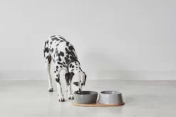 MiaCara Doppio Hondenvoerbak Medium Pine -Meubel Speciaal Winkel x886x886 miacara doppio hondenvoerbak met blad small4.jpg.pagespeed.ic .k5EHvUDsAI