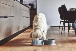 MiaCara Doppio Hondenvoerbak Small Beton -Meubel Speciaal Winkel x886x886 miacara doppio hondenvoerbak met blad small5.jpg.pagespeed.ic .HcMPezkce3 2