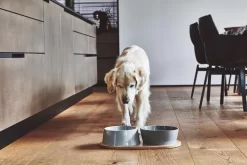 MiaCara Doppio Hondenvoerbak Small Beton -Meubel Speciaal Winkel x886x886 miacara doppio hondenvoerbak met blad small6.jpg.pagespeed.ic .VrybShbAqK 2