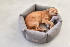 MiaCara Felice Hondenmand Large Ø100 Sand -Meubel Speciaal Winkel x886x886 miacara felice hondenmand large4.jpg.pagespeed.ic .1YkWjr7xok