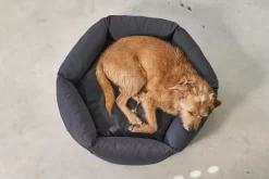 MiaCara Felice Hondenmand Large Ø100 Sand -Meubel Speciaal Winkel x886x886 miacara felice hondenmand large6.jpg.pagespeed.ic .MhWjEs72WR