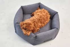 MiaCara Felice Hondenmand Large Ø100 Sand -Meubel Speciaal Winkel x886x886 miacara felice hondenmand large7.jpg.pagespeed.ic .Q yoH1Z3WT