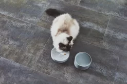 MiaCara Piatto Kattenvoerbak Ø16 Berry -Meubel Speciaal Winkel x886x886 miacara fresco kattenvoerbak13.jpg.pagespeed.ic .YHFGgtlqrS 1