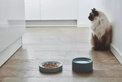 MiaCara Fresco Kattenvoerbak Nougat 11 MiaCara Fresco Kattenvoerbak Nougat -Meubel Speciaal Winkel x886x886 miacara fresco kattenvoerbak5.jpg.pagespeed.ic .nGAlJjMd e