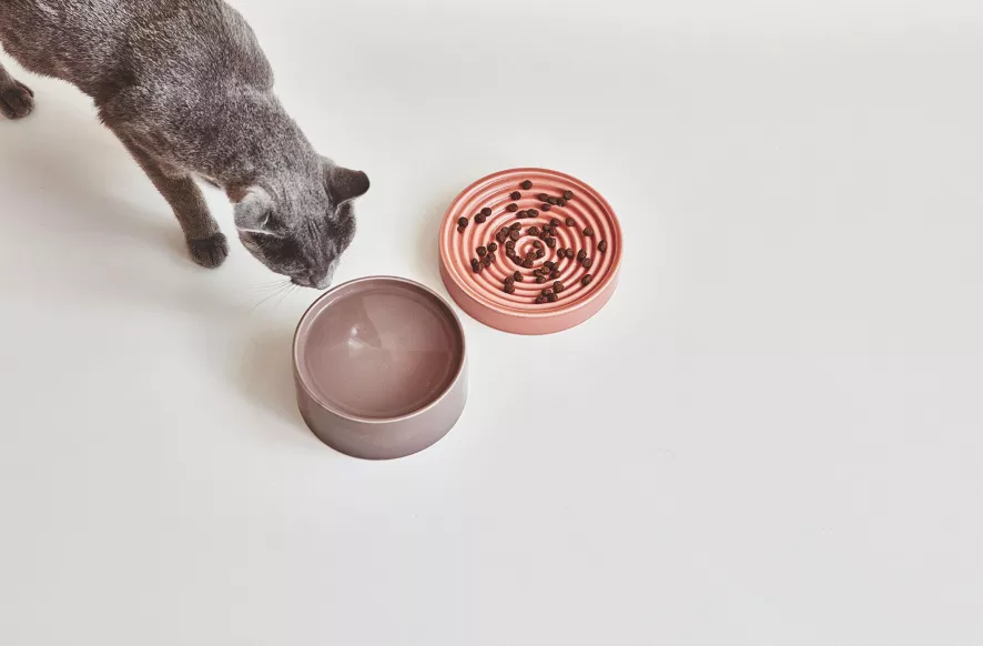 MiaCara Fresco Kattenvoerbak Nougat 7 MiaCara Fresco Kattenvoerbak Nougat - Afbeelding 5