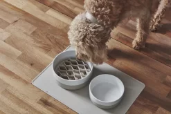 MiaCara Lento Hondenvoerbak Inzetstuk Large Greige -Meubel Speciaal Winkel x886x886 miacara lento hondenvoerbak inzetstuk large2.jpg.pagespeed.ic .kl9hHNbIw3