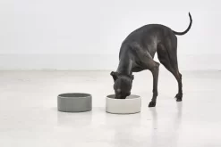 MiaCara Scodella Hondenvoerbak Small Greige -Meubel Speciaal Winkel x886x886 miacara scodella hondenvoerbak large.jpg.pagespeed.ic .DQ4N LwLQH