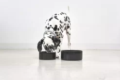 MiaCara Scodella Hondenvoerbak Small Greige -Meubel Speciaal Winkel x886x886 miacara scodella hondenvoerbak large1.jpg.pagespeed.ic .6RW7 9Fw M