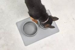 MiaCara Scodella Hondenvoerbak Small Greige -Meubel Speciaal Winkel x886x886 miacara scodella hondenvoerbak large4.jpg.pagespeed.ic .PlhIR9G4N